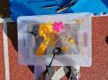 Soubor jmenem: img_20250523_085958